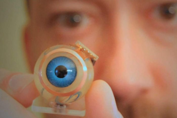 Artificial Eye buy at Pal Hospital Eyetec Clinics & The Children Centre